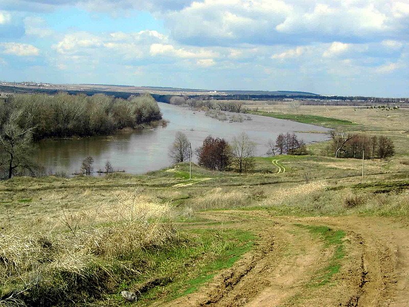 Весенняя Медведица