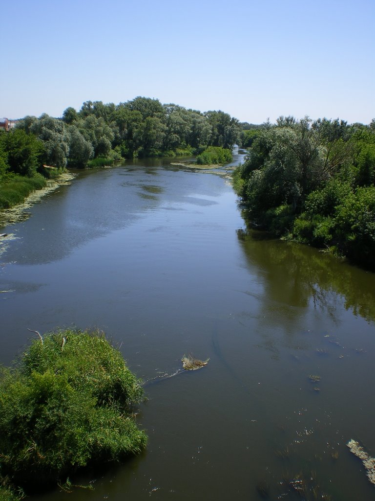 г.Жирновск. Вид на р. Медведица