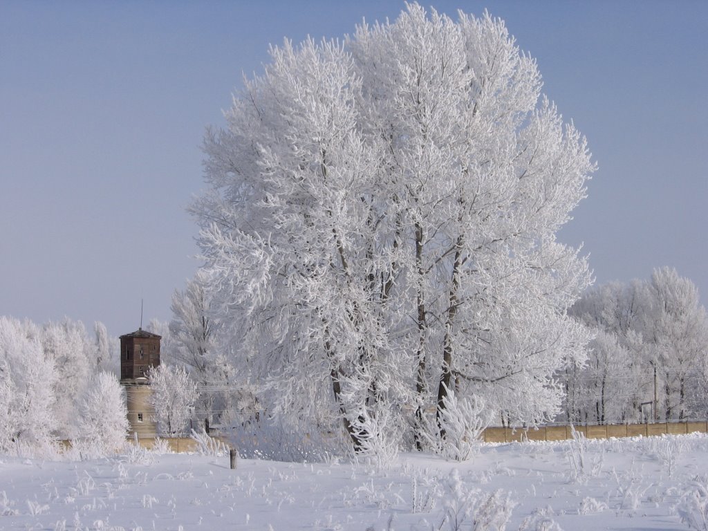 Зимняя сказка