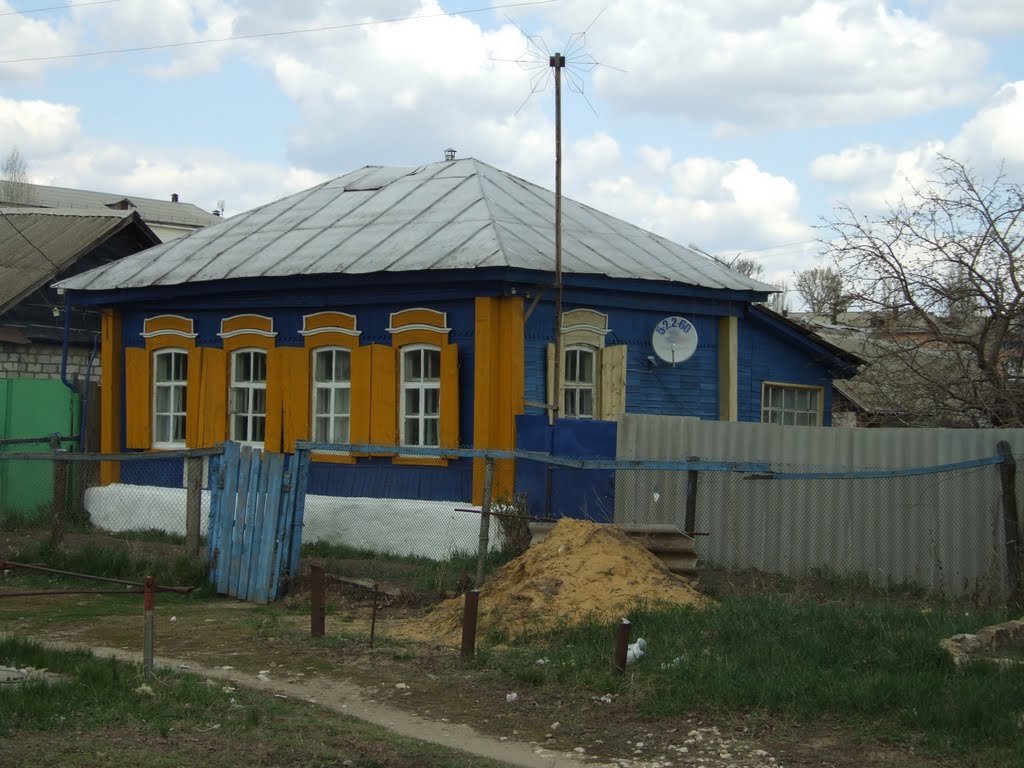 колорит