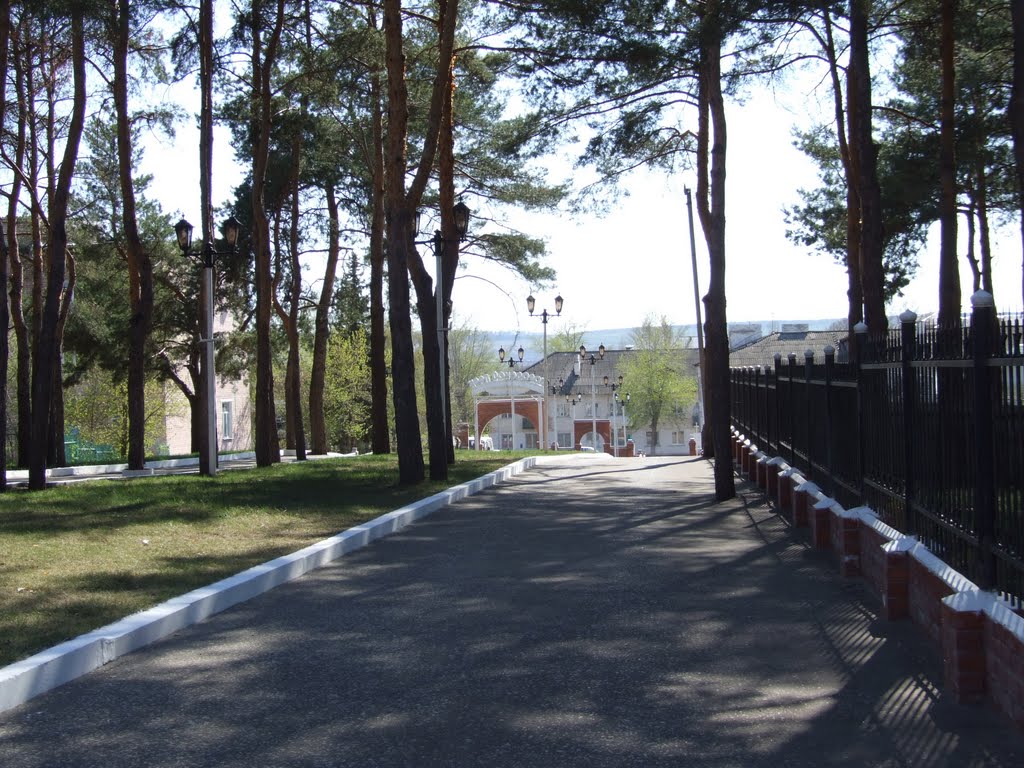 аллея у входа