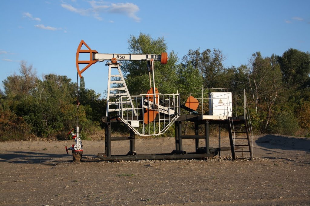 Жирновск. "Дубы". Станок-качалка. Август 2010.