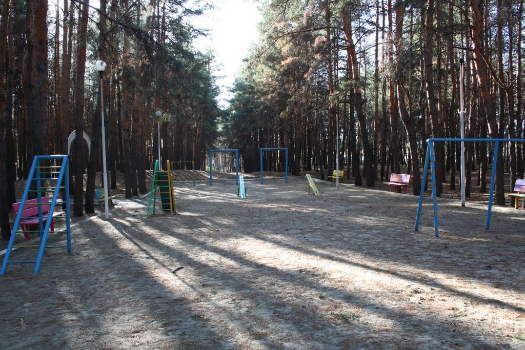 Городской Парк. Детская площадка. Октябрь 2010г.