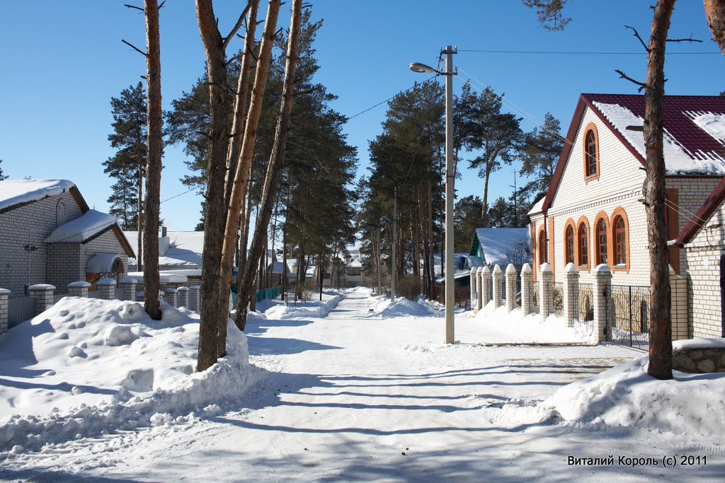 Ул. Сосновая 2011г.