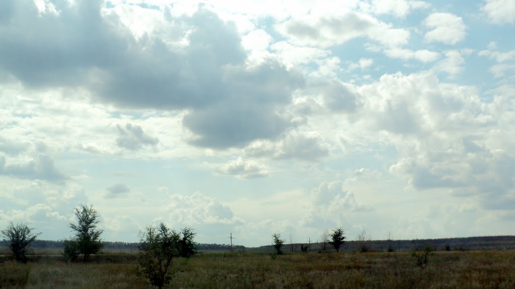 Степь