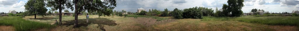 Тополиная