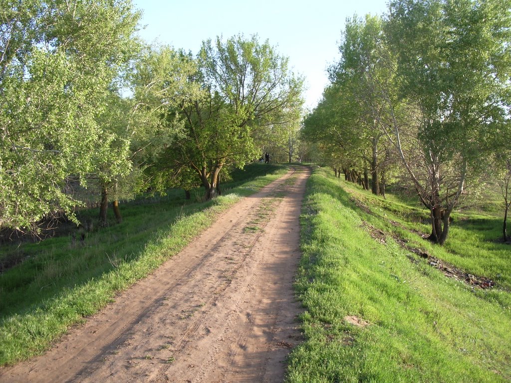 Log