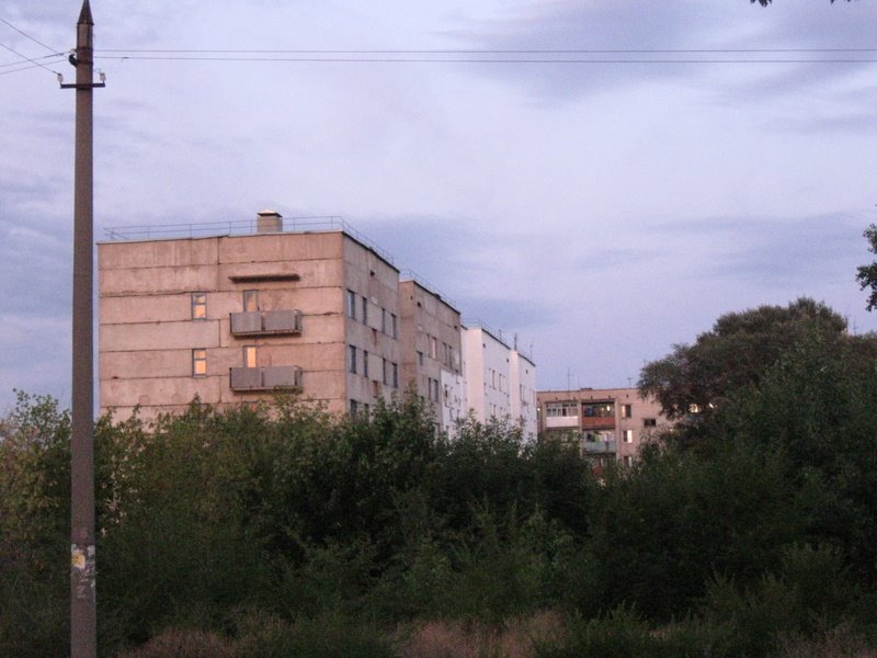 from mayakovsky to west