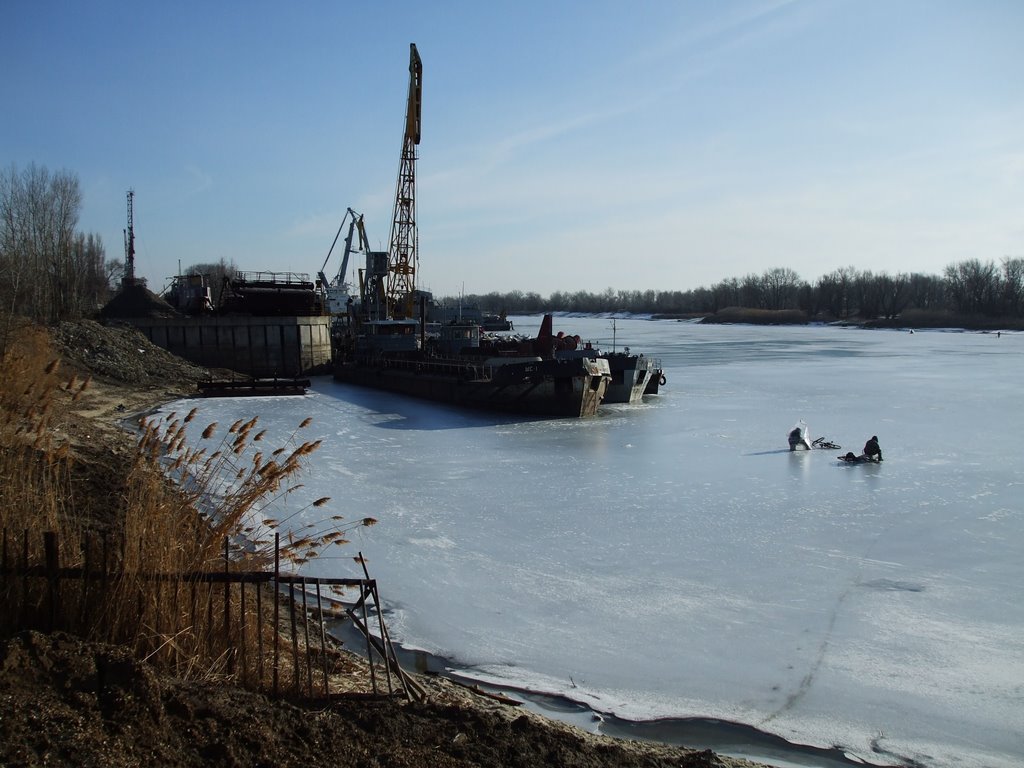 Затон зимой 2010года