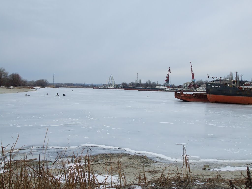 Затон зимой 2010года