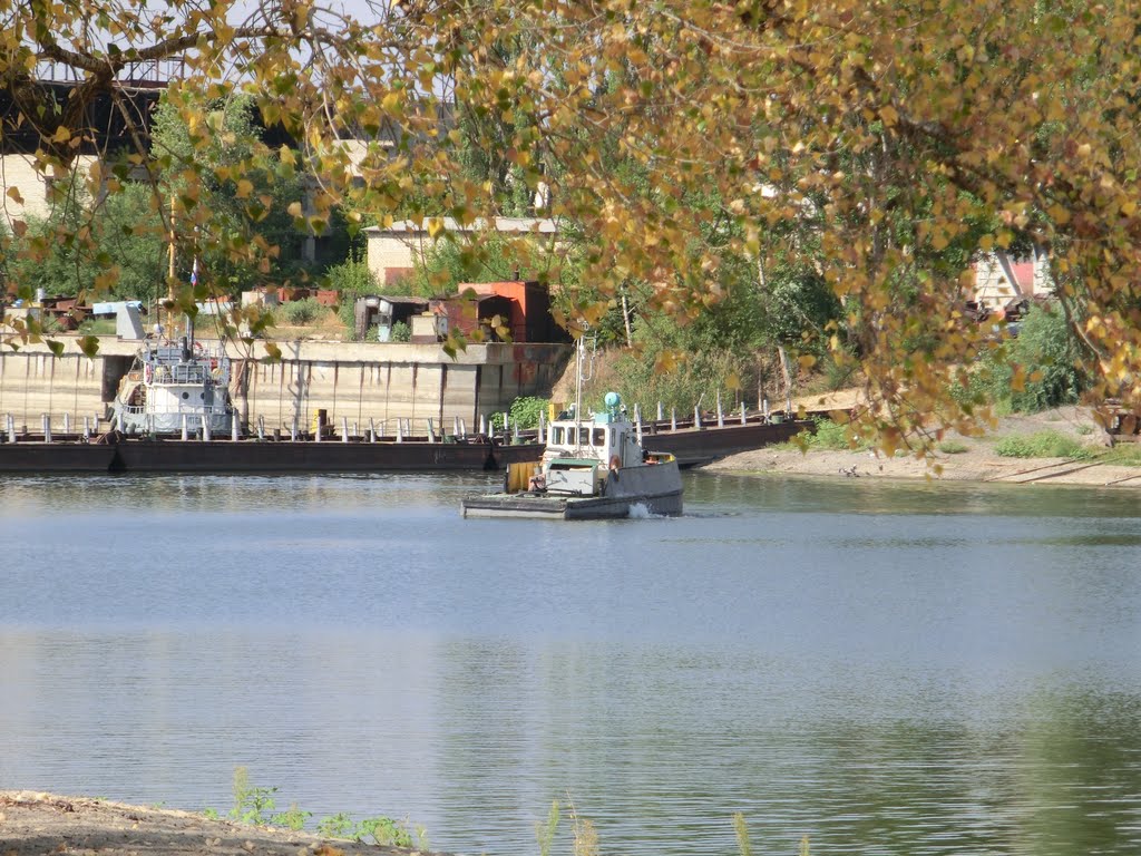 Затон КССЗ
