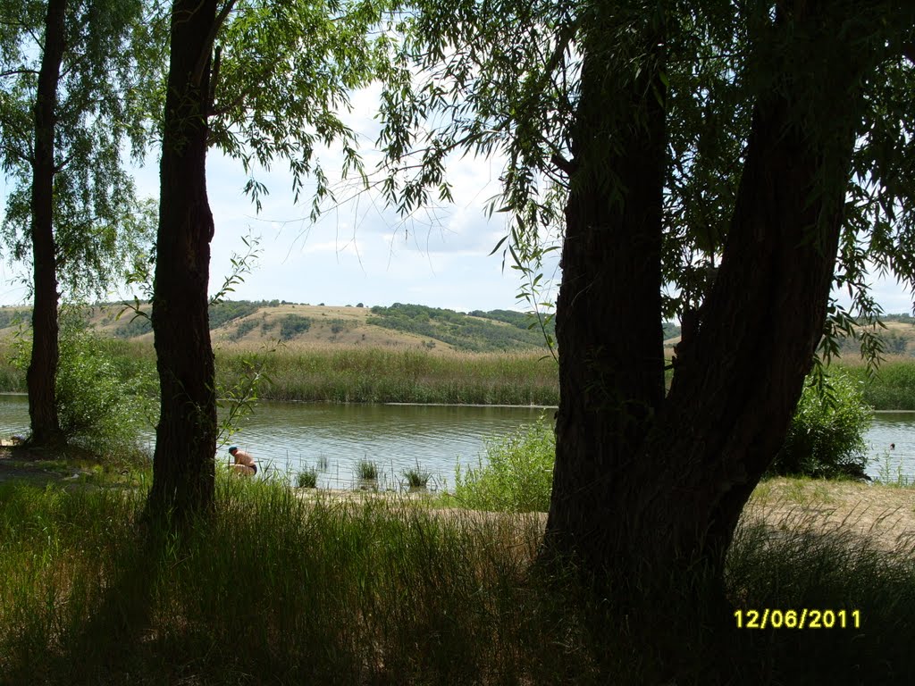 Затон июнь 2011г.