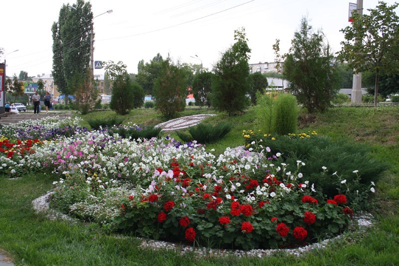 Kamyshin Nekrasova street