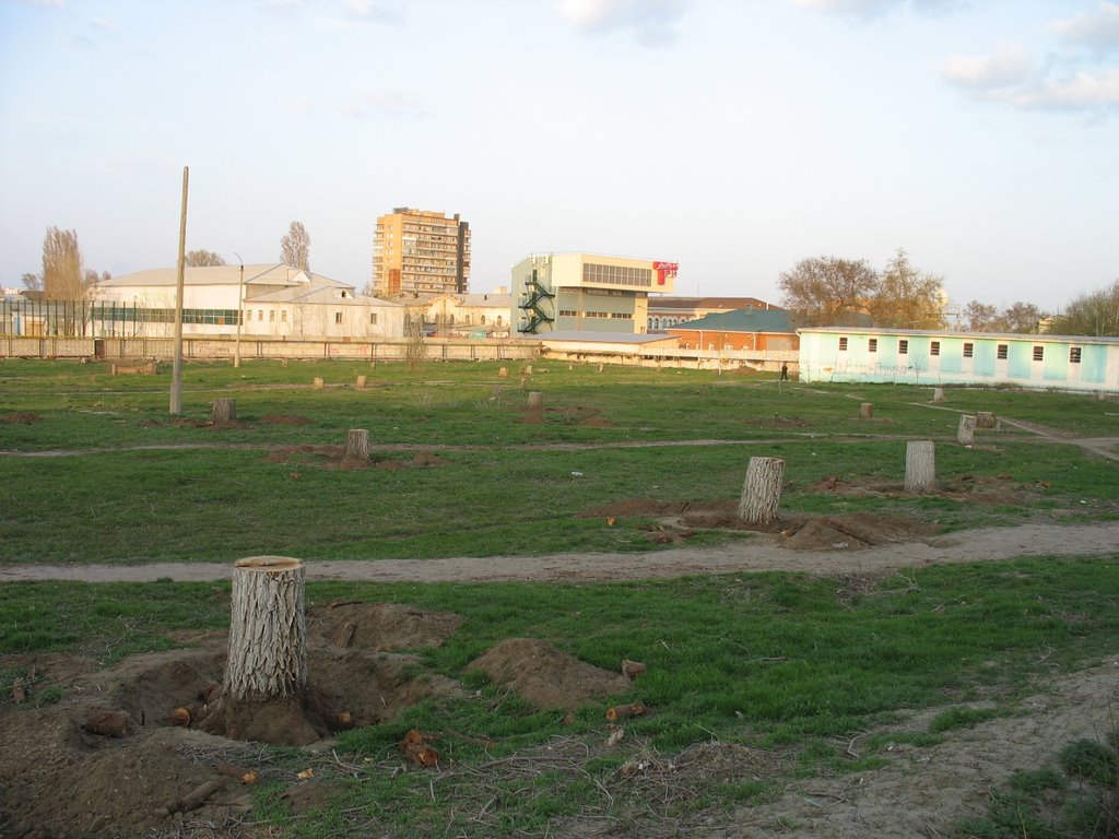 Бывший "Детский парк" 2008 год