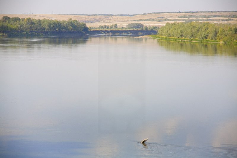Don near Kletsky