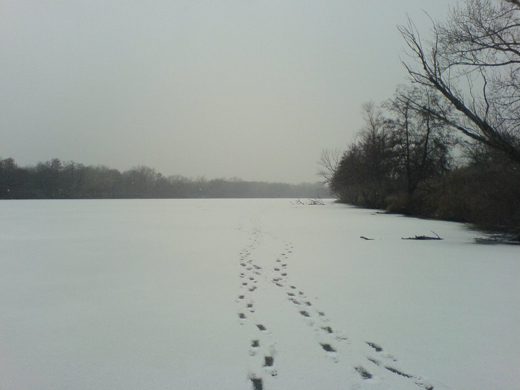 The frozen river