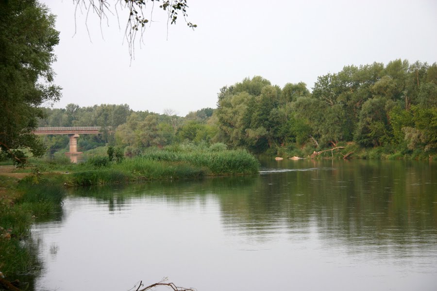 река Медведица mihajlovka.com Мост трассы Москва - Астрахань foto-planeta.com