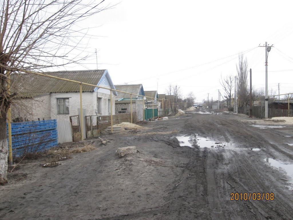 Улица Цимлянская