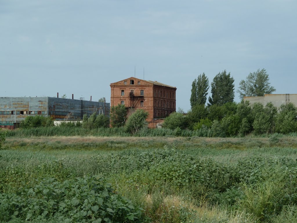 Мельница
