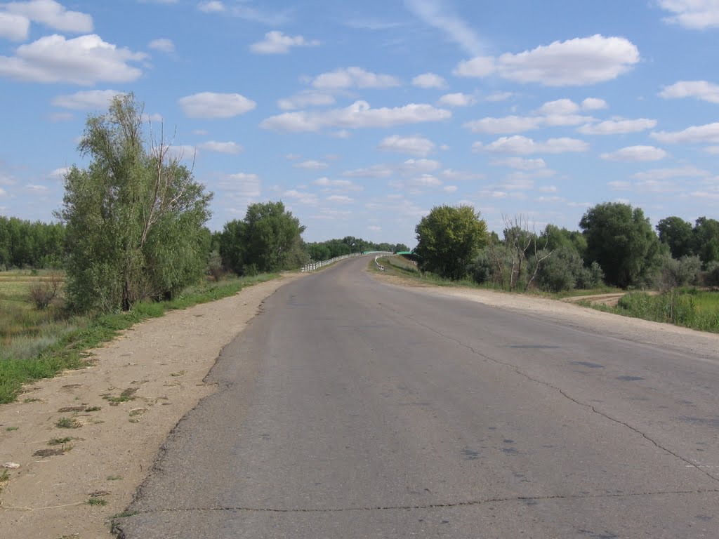 Дорога у Ленинского моста
