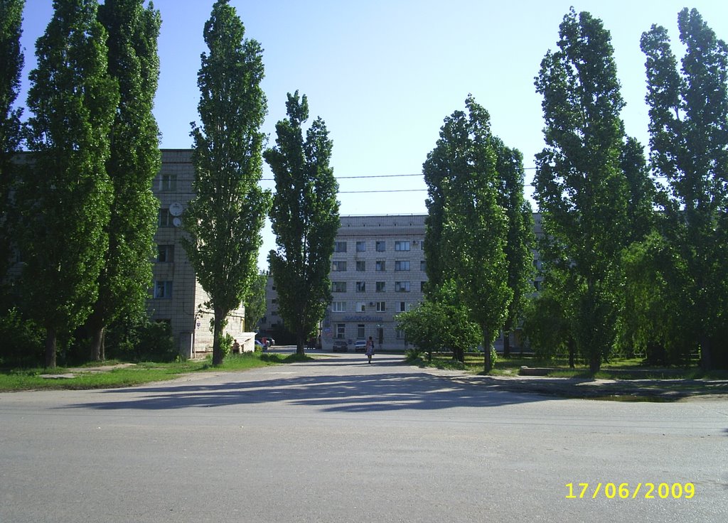 Гостиница "Медведица"