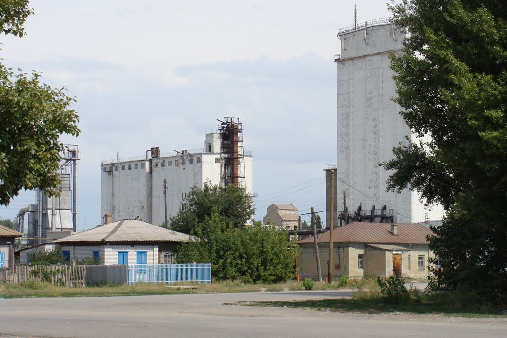 ВИД  НА  ЭЛЕВАТОР  МИХАЙЛОВКА