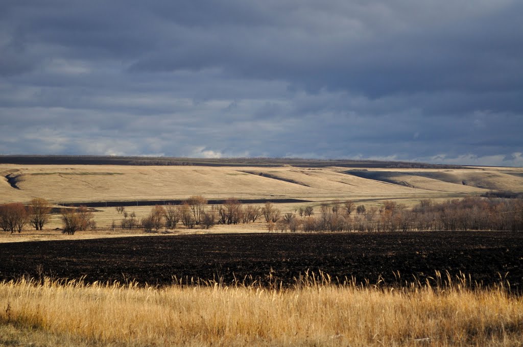 Балка (06.11.2010)