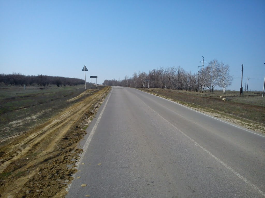 дорога на юг