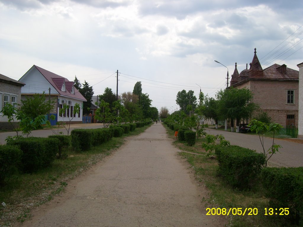 Аллея возле Дома Пионеров