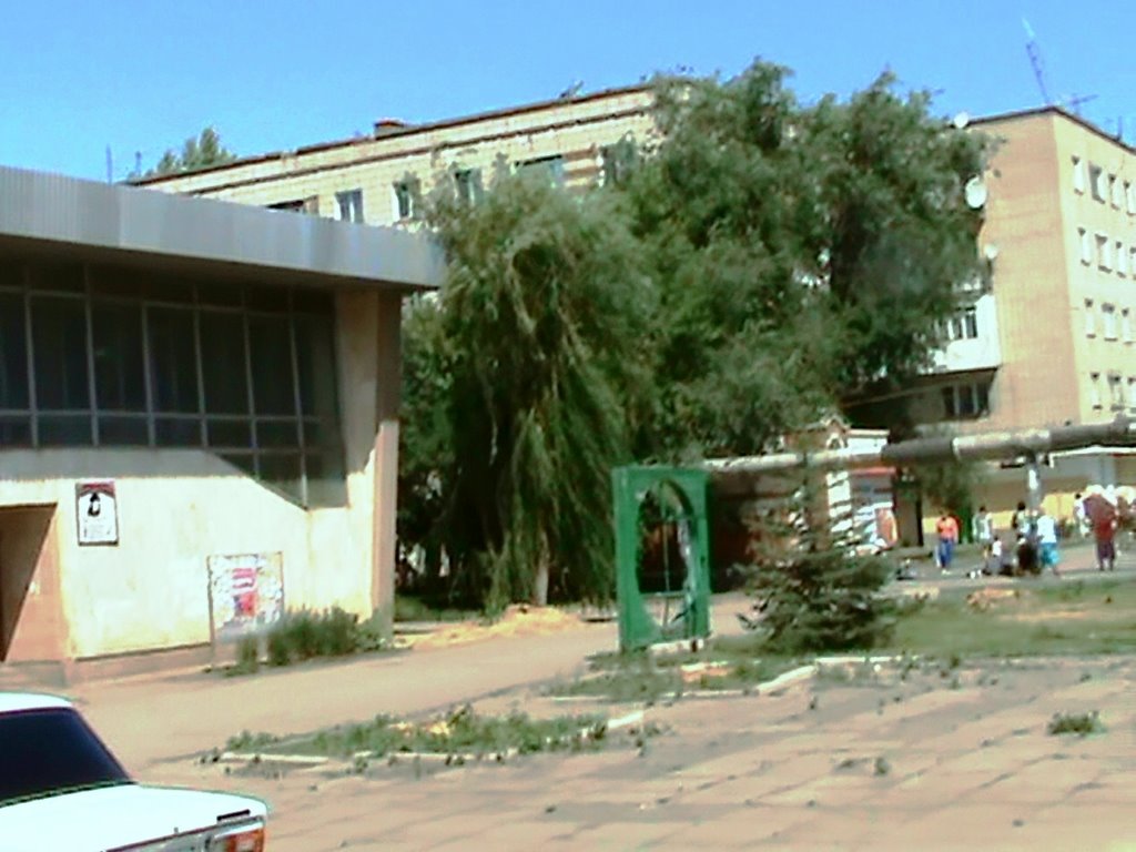 Сохранившаяся ива в центре. К сожалению, без тополей. Остались только пни…