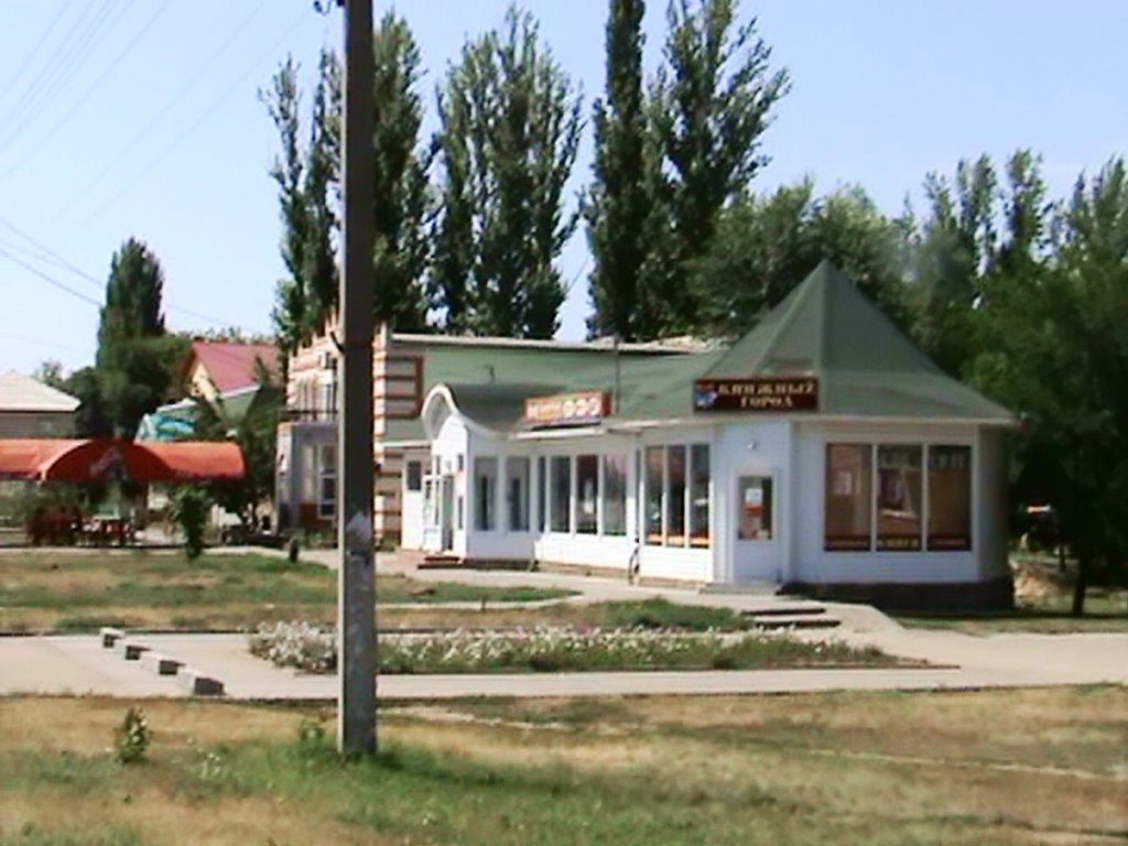 Книжный город.