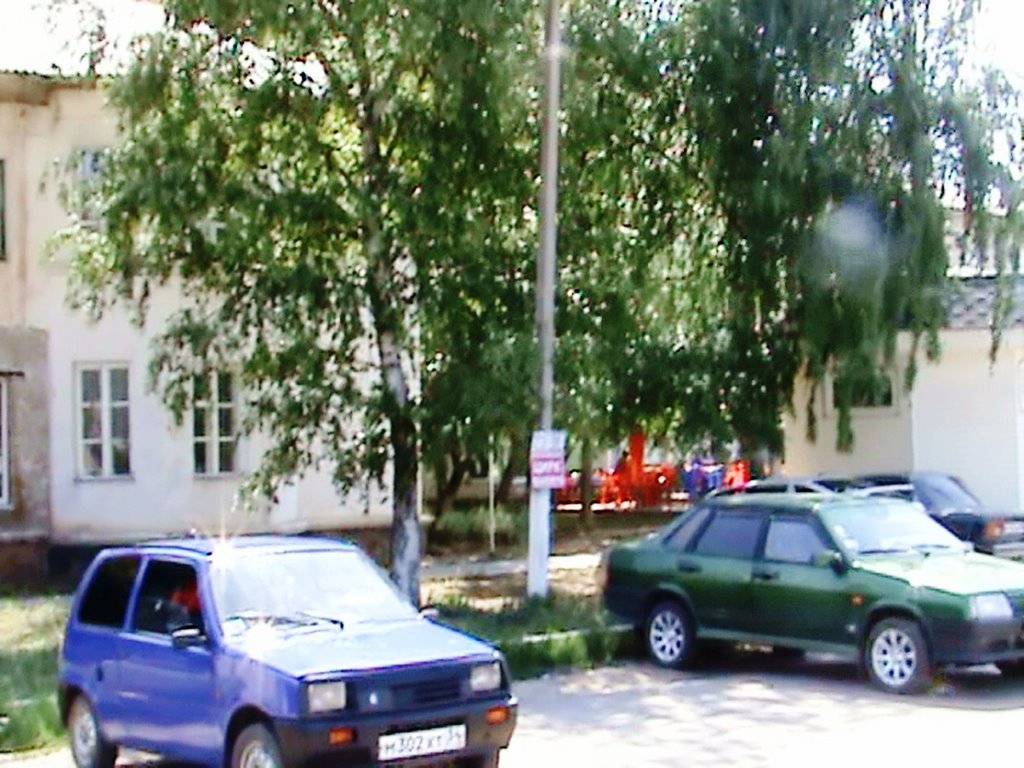 Берёза перед старым домом.