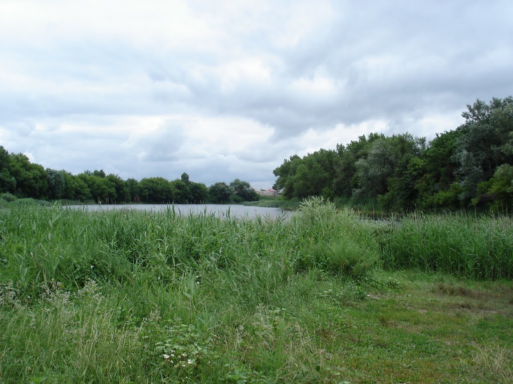 Novoanninskiy
