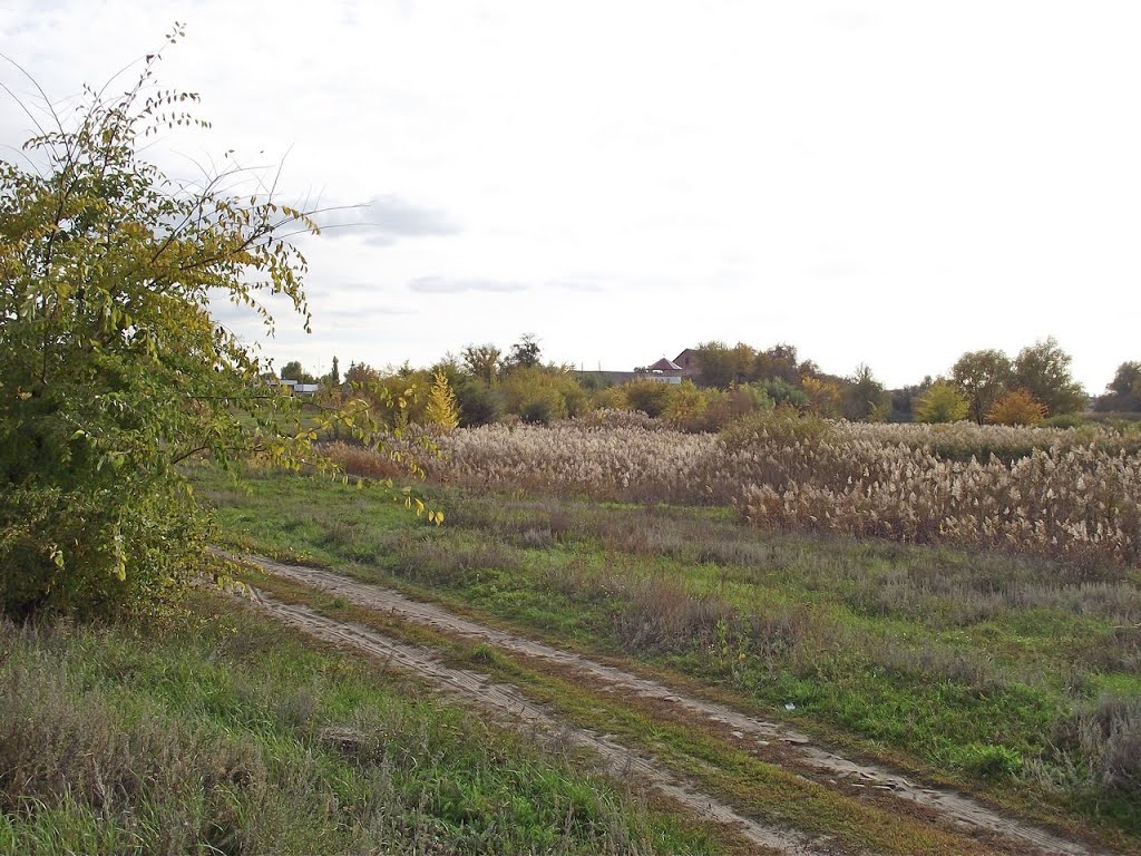 Лукоморье