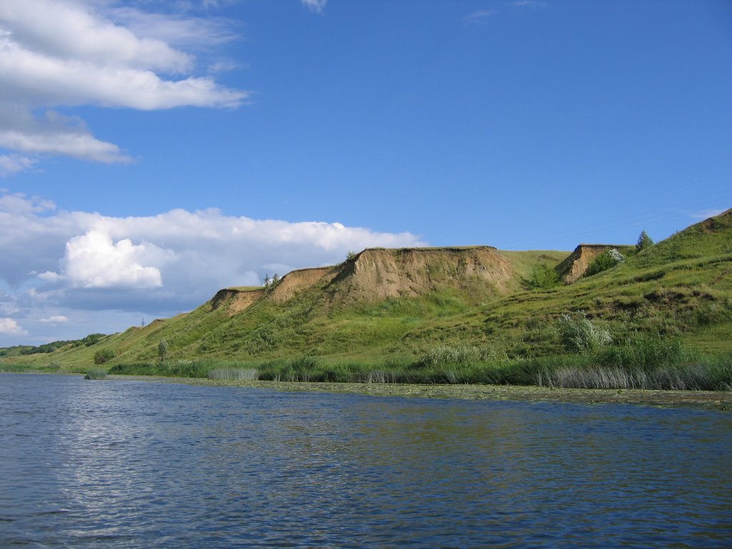 The right coast of the river Vorona. Near MUCHKAP. (Правый берег реки Ворона около Мучкапа).
