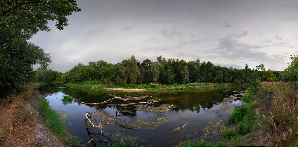 панорама реки