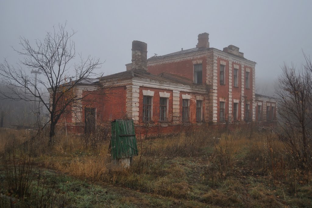 Здесь жизни нет....здесь бродят  призраки в тумане