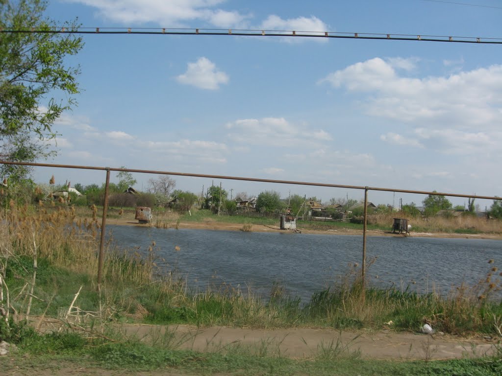 Бульбин