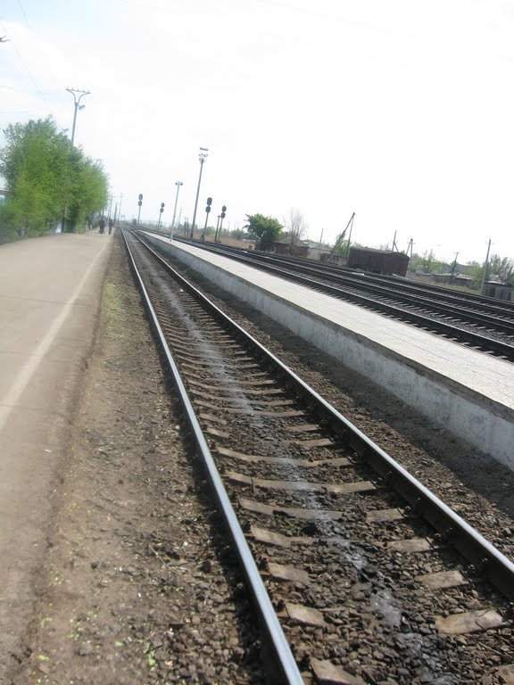 Рельсы