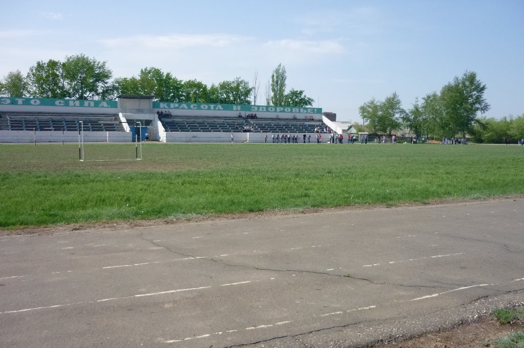 Стадион "Колос"