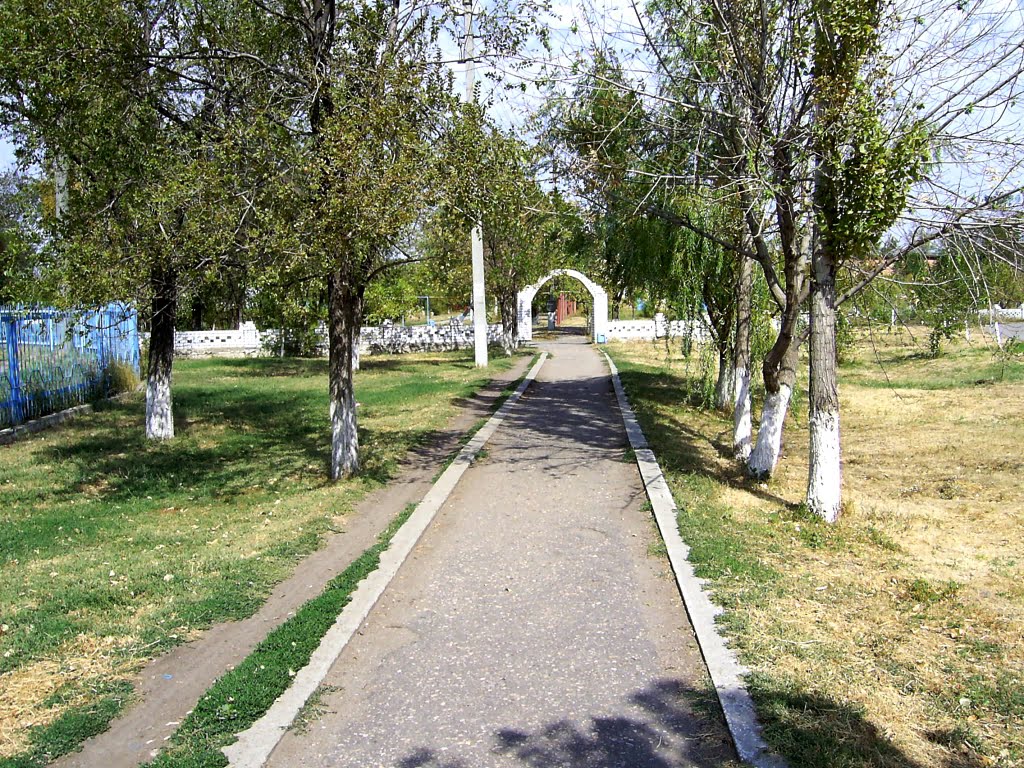 В Парк...