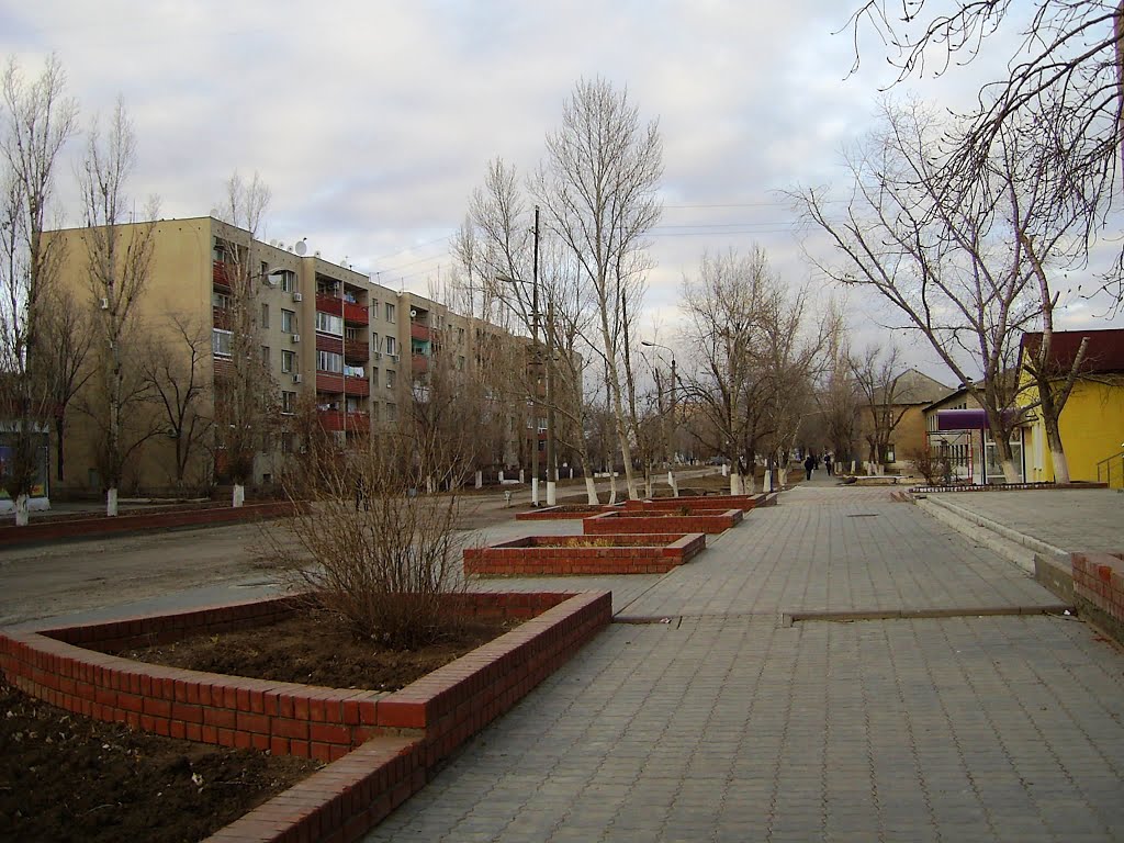 Улица. Осень.