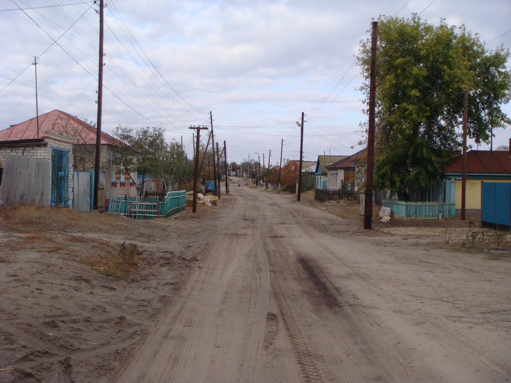 Вид улицы Толстого
