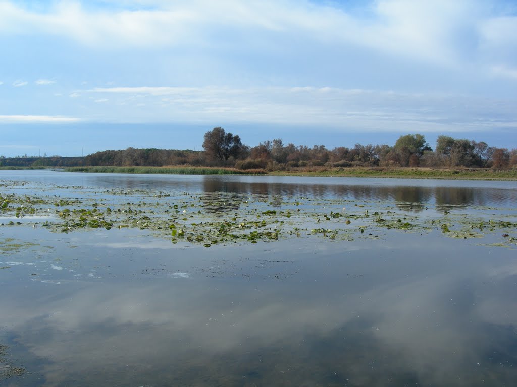 Рудня.Берег Терсы.Осень 2010.