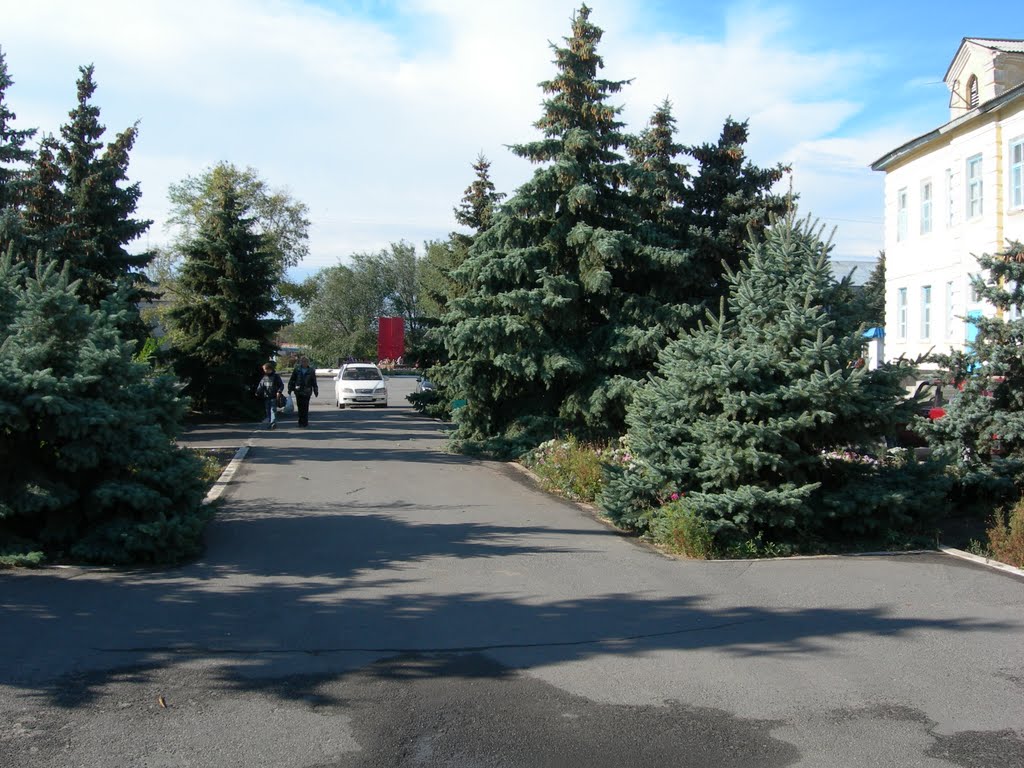Аллея в центре Рудни.Осень 2010.