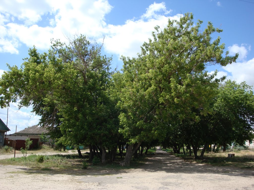 аллея