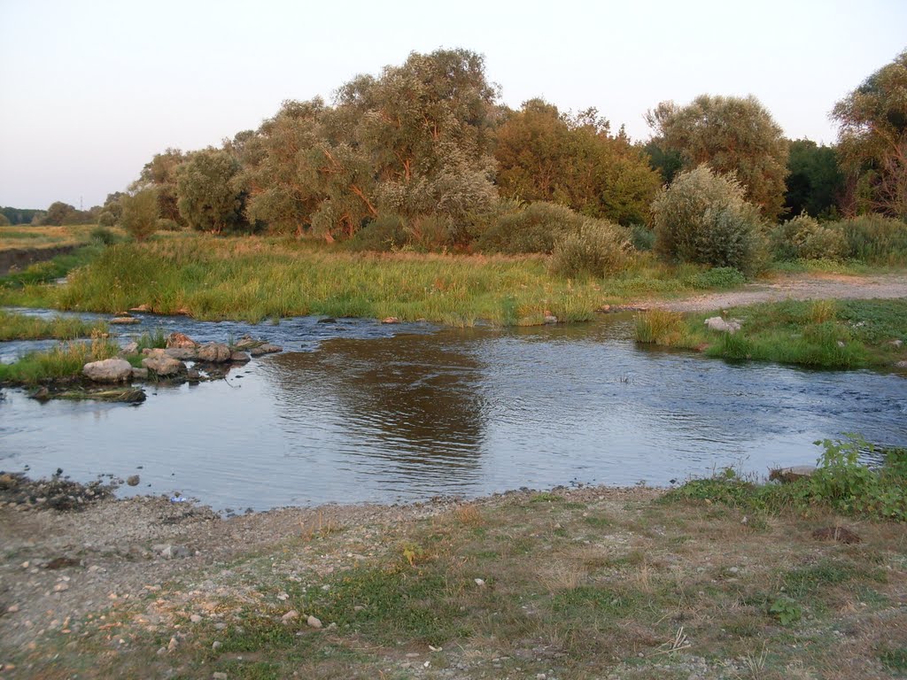 Бегучка.2011.