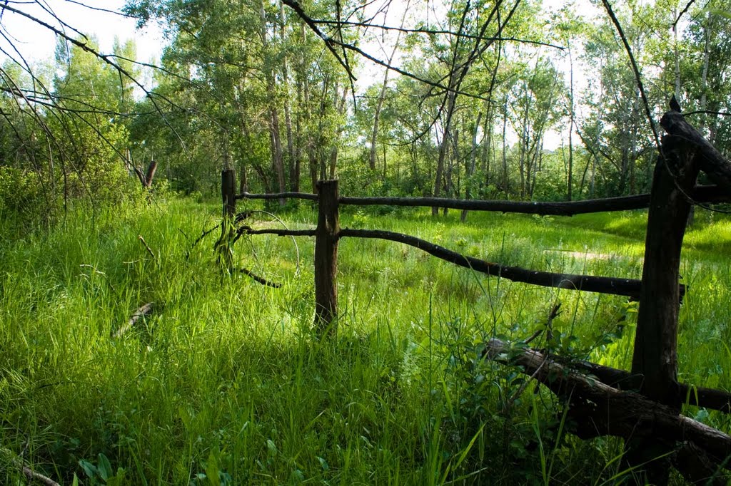 изгородь