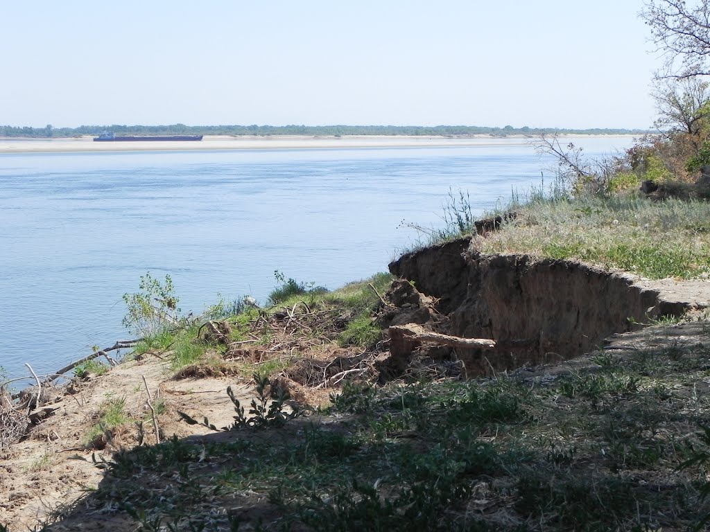 Volgas riverside near Svetlyy Yar (12 Jun 2012)