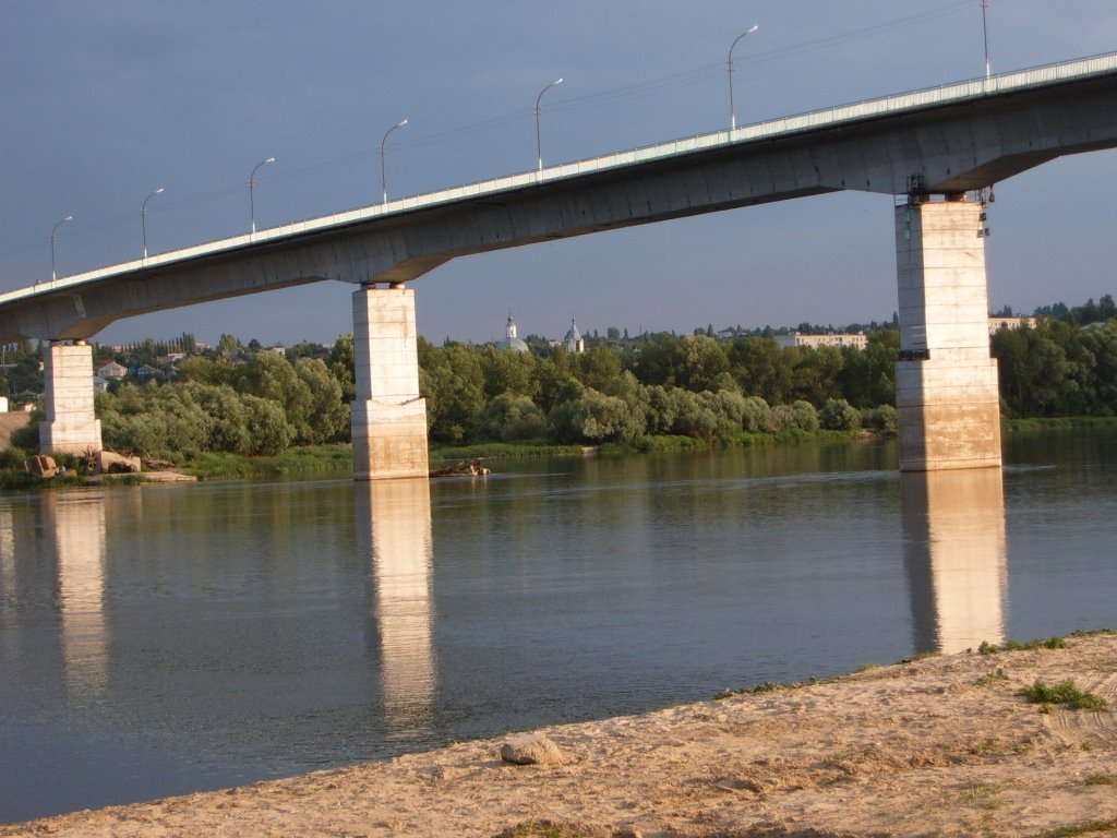 SerafimBridge